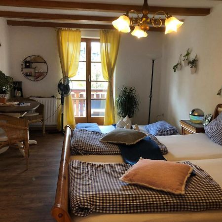 Ferienwohnung Sonne Schliengen Zewnętrze zdjęcie