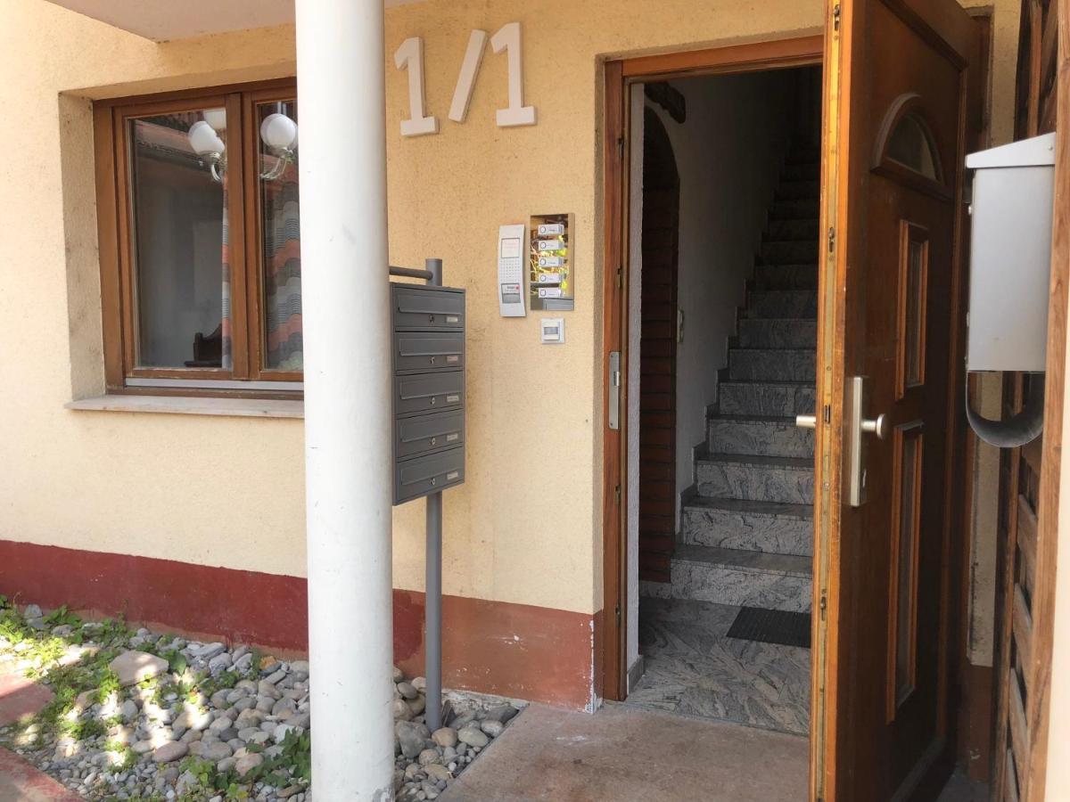 Ferienwohnung Sonne Schliengen Zewnętrze zdjęcie
